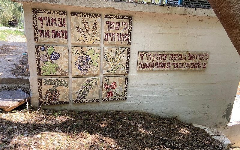 פארק המעיינות המסלול הרטוב עין שוקק