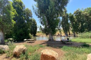 פארק המעיינות המסלול הרטוב עין שוקק