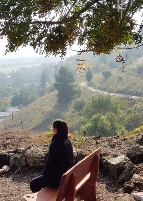 תל יקנעם – טיול חוויתי בפארק ארכיאולוגי עם תצפיות נוף