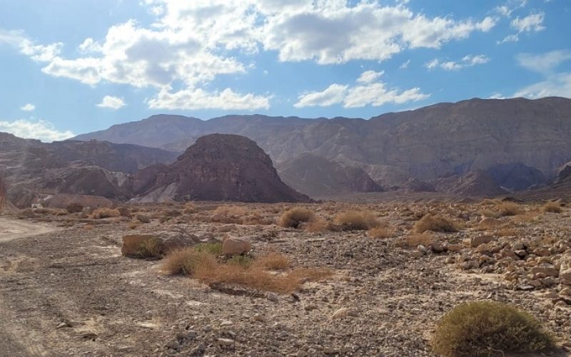 עמודי עמרם – שמורת טבע מסיב אילת