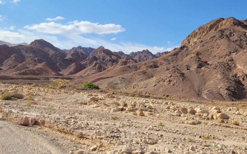 עמודי עמרם – שמורת טבע מסיב אילת
