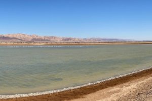 פארק הצפרות ובריכות הפלמנגו באילת