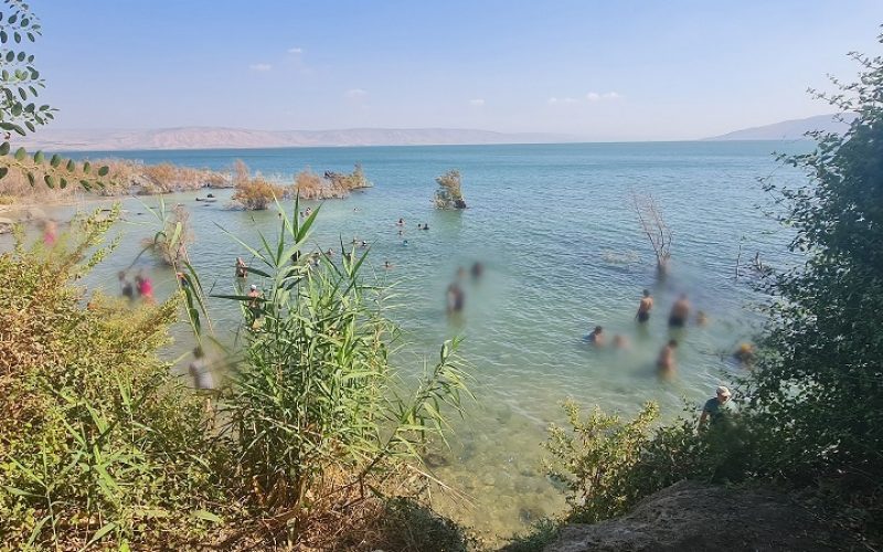 המפל הנסתר בכנרת - עין איוב כפר נחום