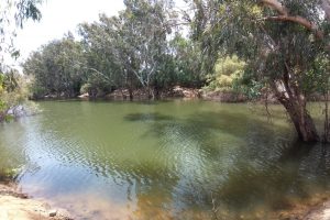 אגם הנקיק ראשון לציון