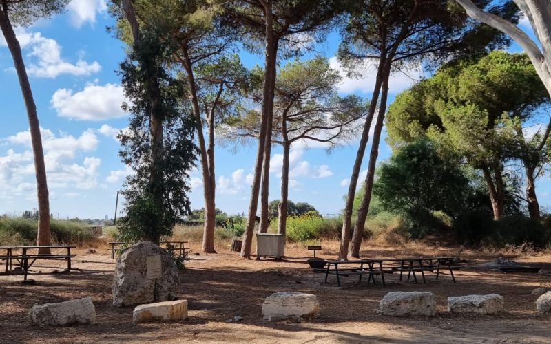 יער קדימה - קרן קיימת לישראל