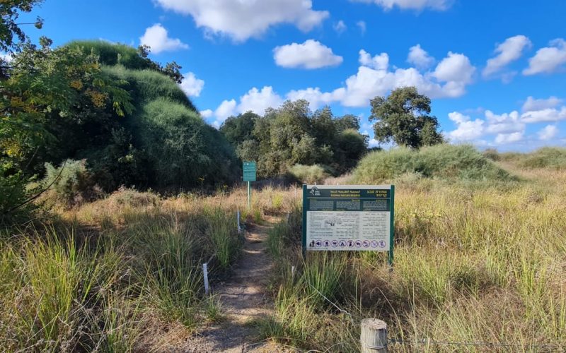 שמורת הטבע קדימה