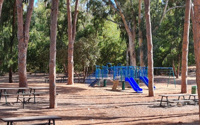 יער קדימה - קרן קיימת לישראל