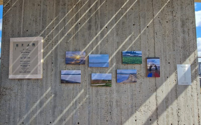 מאגר משמר השרון - מאגר ויקר