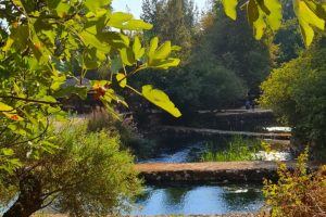 נחל חרמון הבניאס עליון ממתחם המעיינות ועד למפל הבניאס