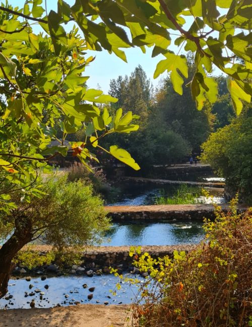 נחל חרמון הבניאס עליון ממתחם המעיינות ועד למפל הבניאס