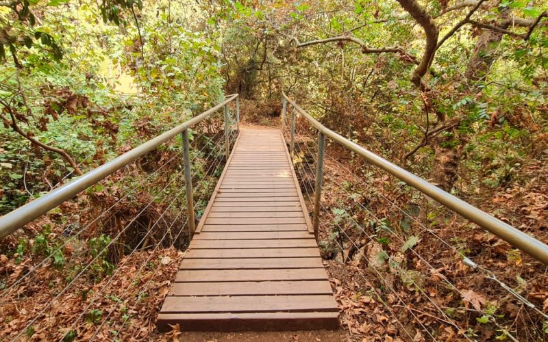 נחל חרמון הבניאס עליון ממתחם המעיינות ועד למפל הבניאס