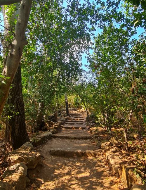 נחל חרמון הבניאס עליון ממתחם המעיינות ועד למפל הבניאס