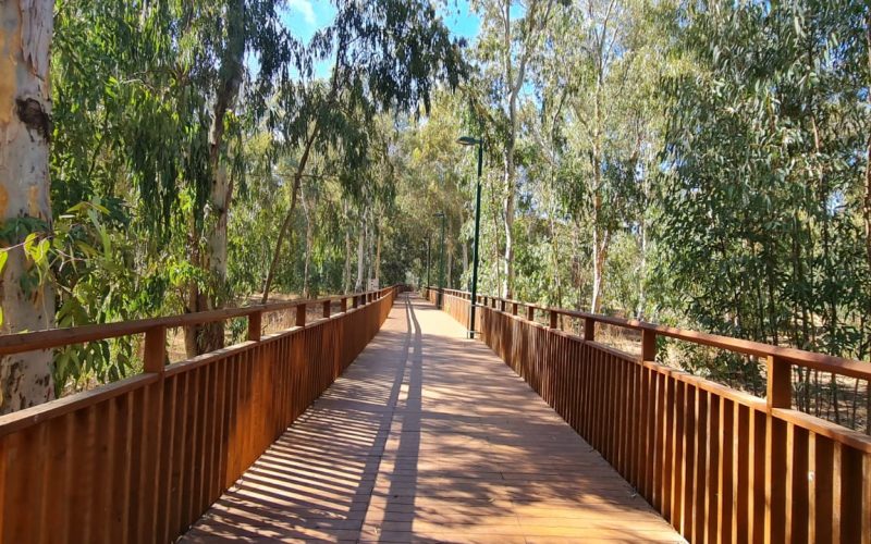 חורשת הסרג'נטים – יער נתניה