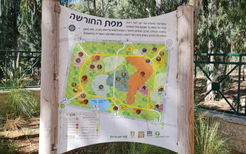 חורשת הסרג'נטים – יער נתניה