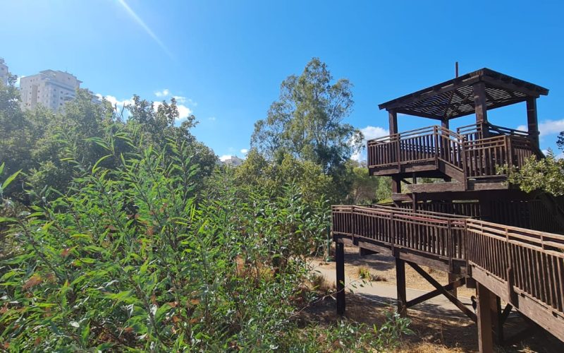 חורשת הסרג'נטים – יער נתניה