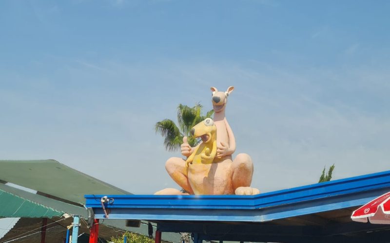 קיפצובה – חוויה משפחתית מקפיצה