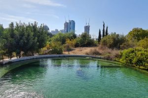 פארק צפרות ראש ציפור יער ראש ציפור ותל נפוליון