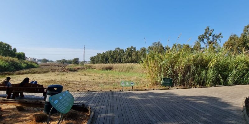 פארק עירוני הרצליה