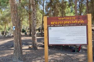 מסלול ביער ברעם – נחל דישון ונחל צבעון חניון לאה ויצחק רבין