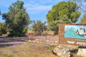 הגבעה הקטנה בקיבוץ יסעור