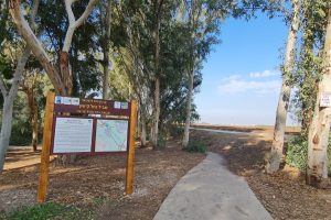 שביל נחל כפר חסידים – פארק העמקים